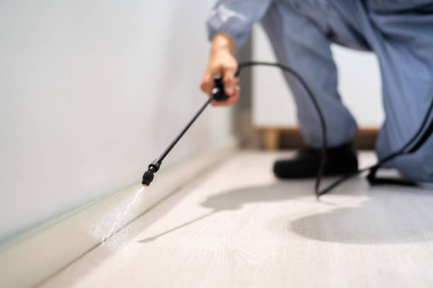 Professional exterminator conducting IPM assessment in Kermit